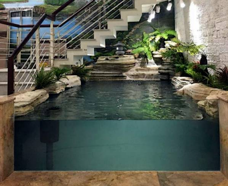 ho kinh duoi cau thang