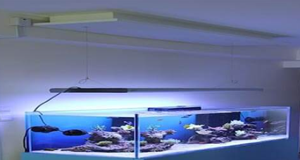 Ho koi 2 mat kinh cho khong gian hep