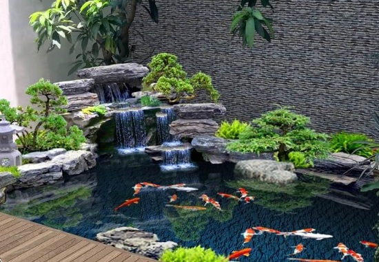 cham soc ca koi can tho