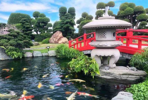 ho koi cho khu du lich