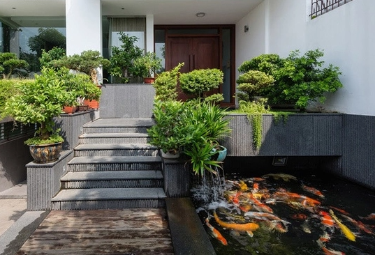 koi cho nha pho can tho