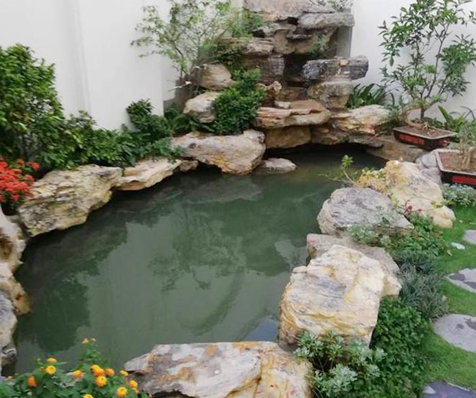 tao no hoa ho ca koi