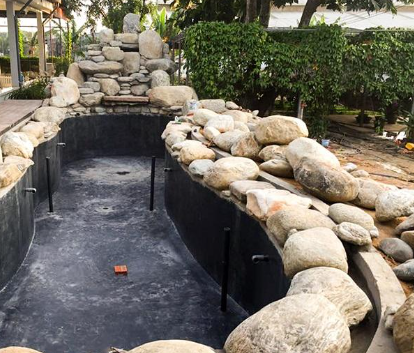 chong tham ho ca koi