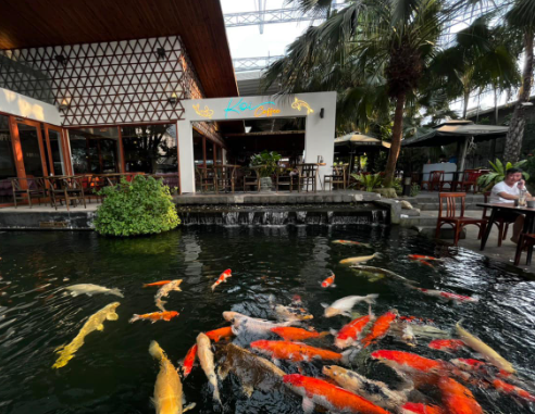 quan cafe ca koi