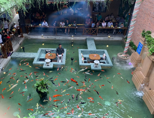 thi cong ho koi caphe