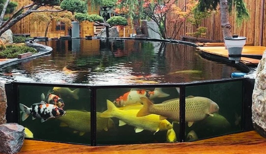 Ho koi uon cong theo khong gian hep