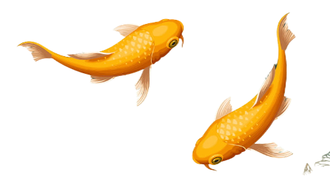 Chào Mừng Bạn Đến Với Chúng Tôi