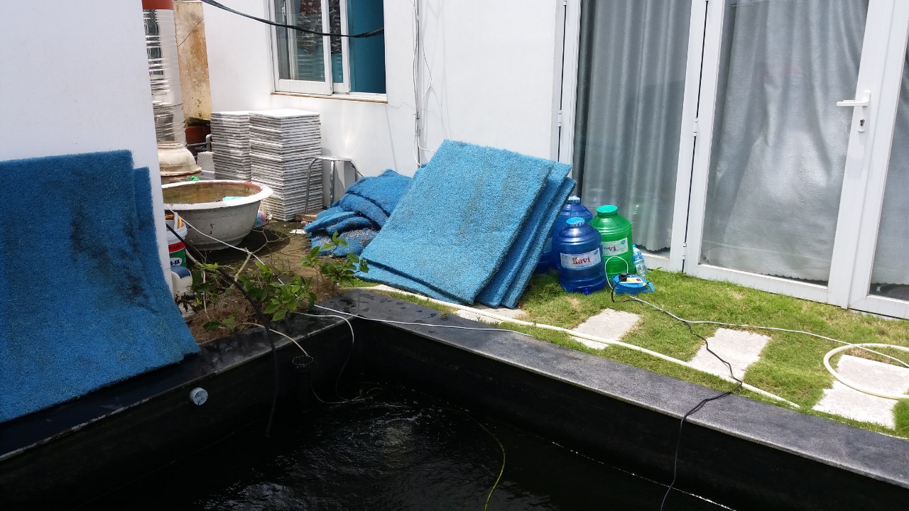 ve sinh loc nuoc ho koi